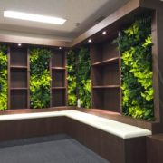 オフィス緑化
