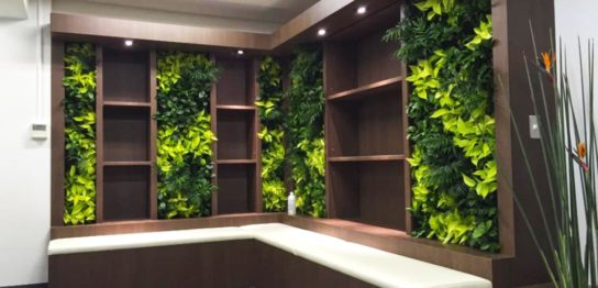 オフィス緑化