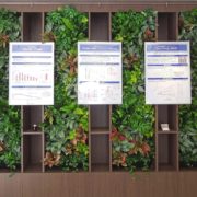 壁面緑化　室内