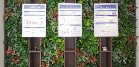 壁面緑化　室内