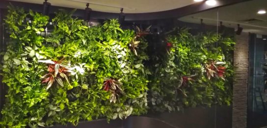オフィス緑化