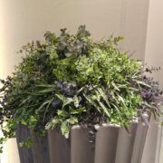 大型プランター 植栽