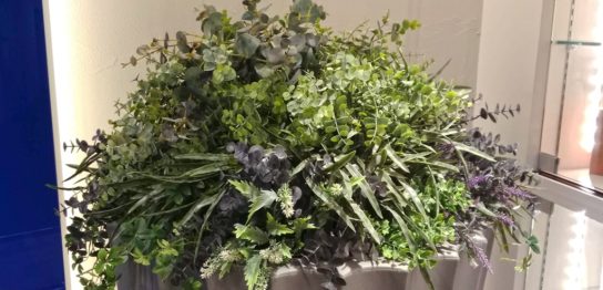 大型プランター 植栽