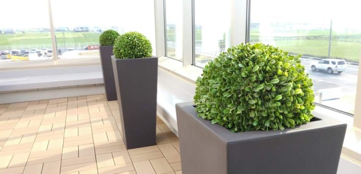 プランター装飾