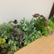 オフィス緑化　模様替え