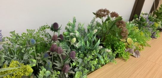 オフィス緑化　模様替え